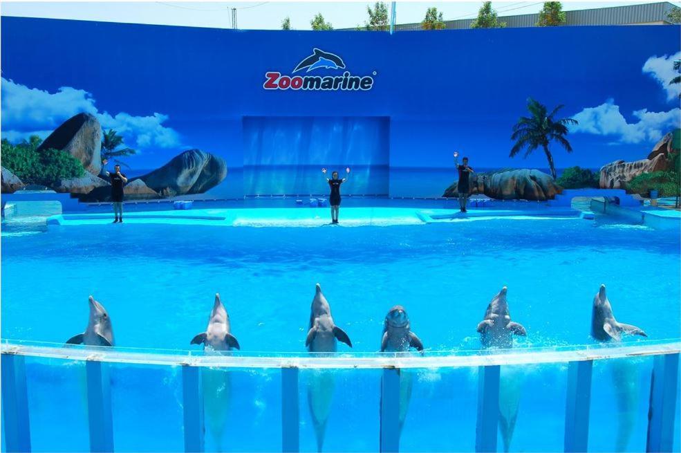 Apartamento Fortaleza Mar - 2 Steps From The Sea アルマカオ・デ・ペラ エクステリア 写真